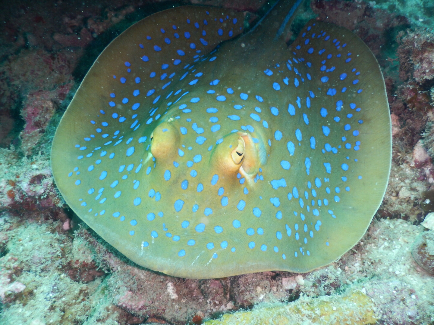 DSCN2719